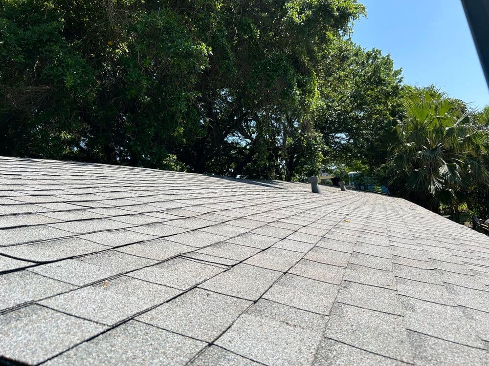 View of a sloped asphalt shingle roof with lush green trees in the background.